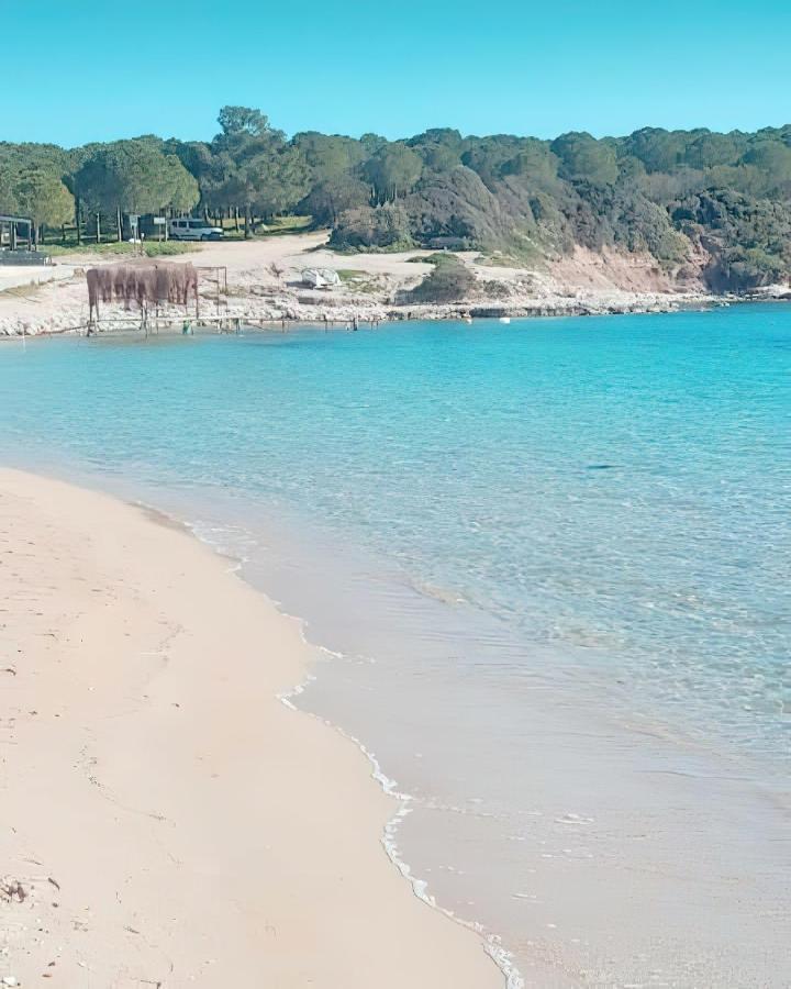 Letoon Hotel Altinkum  Bagian luar foto